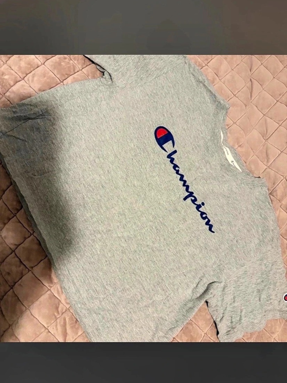 Champion Classic Script Logo Graphic Tee Gray Size Medium crop top